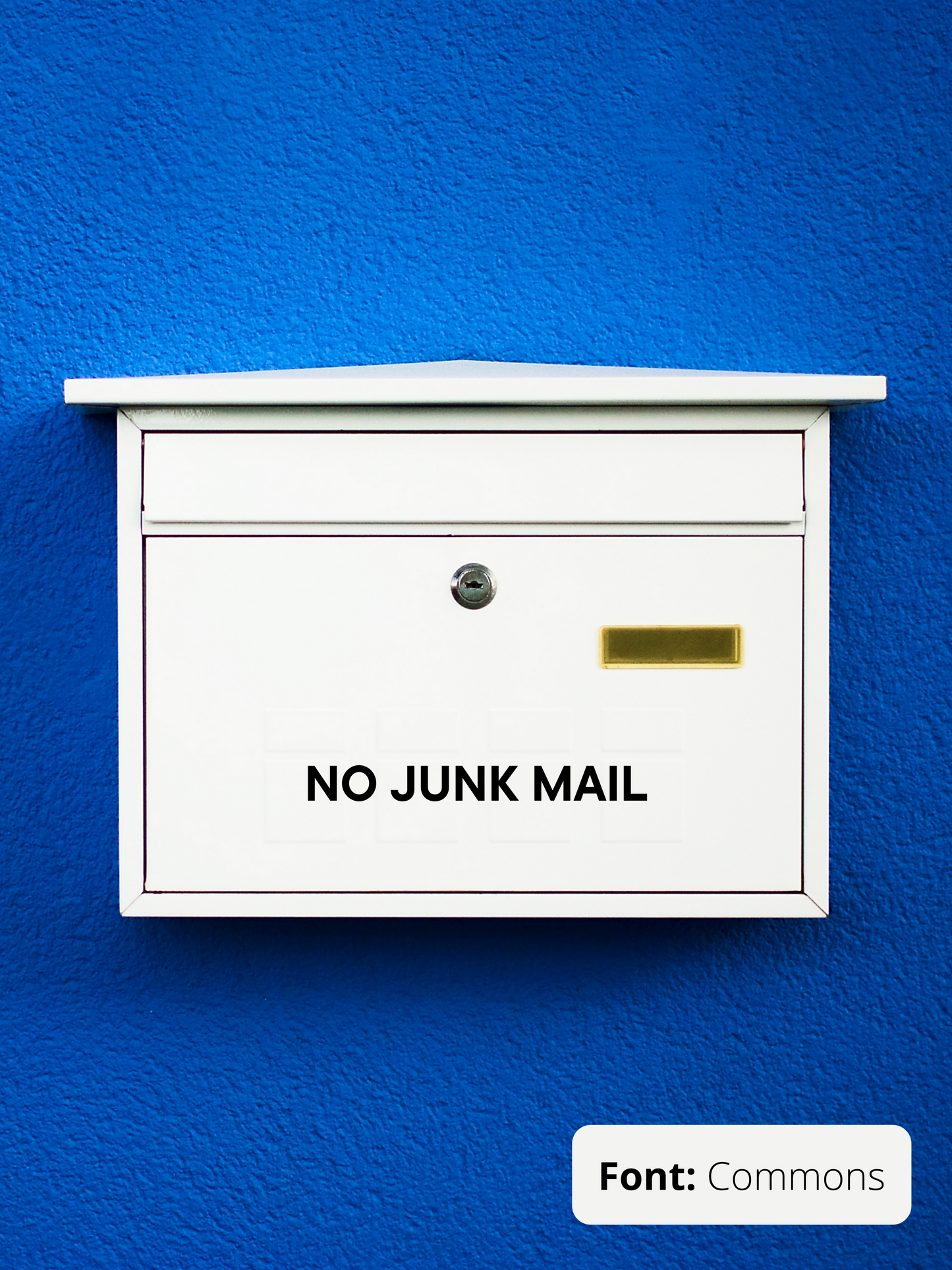 No Junk Mail - Vinyl Sticker