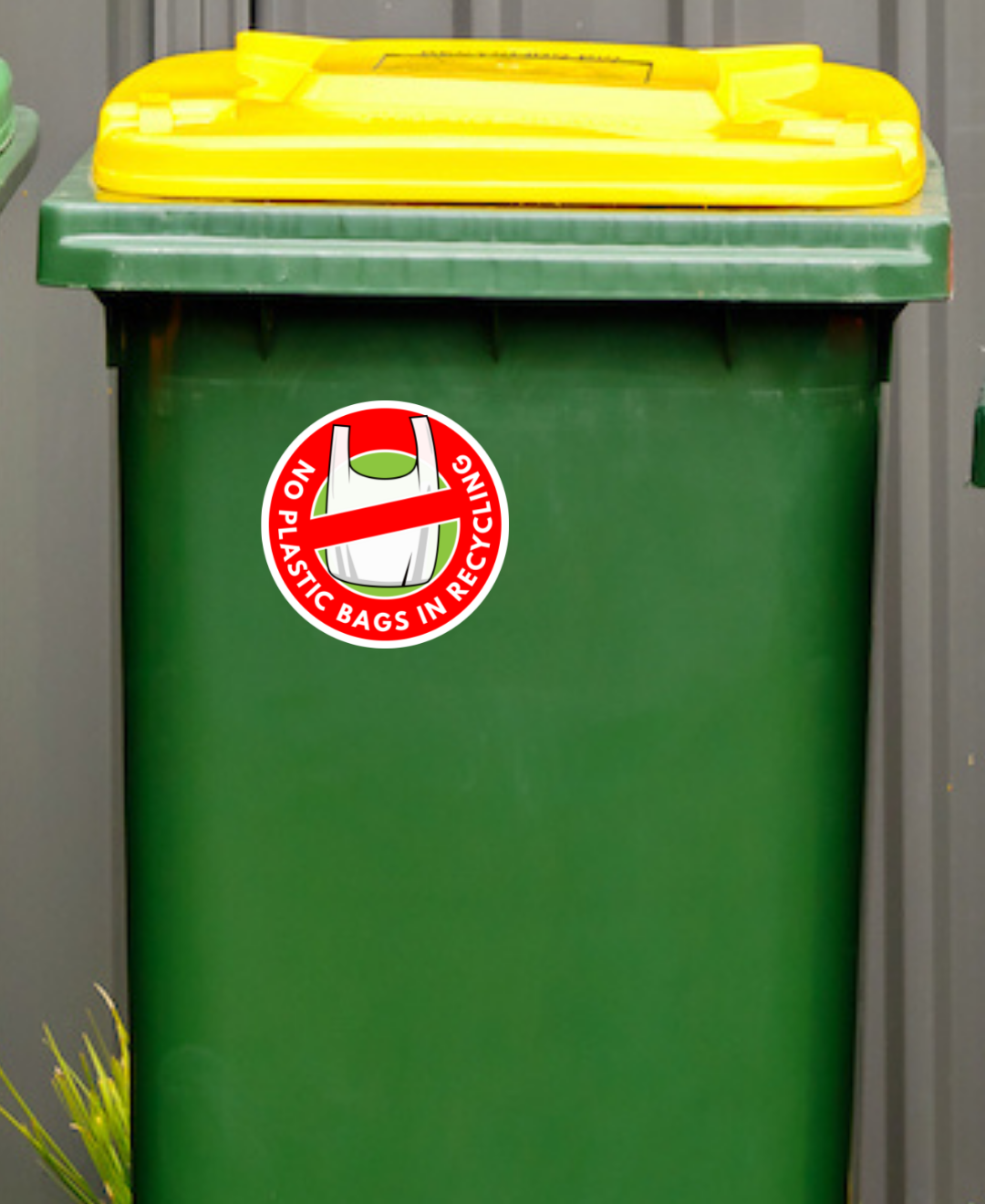 No Plastic Bags in Recycling!