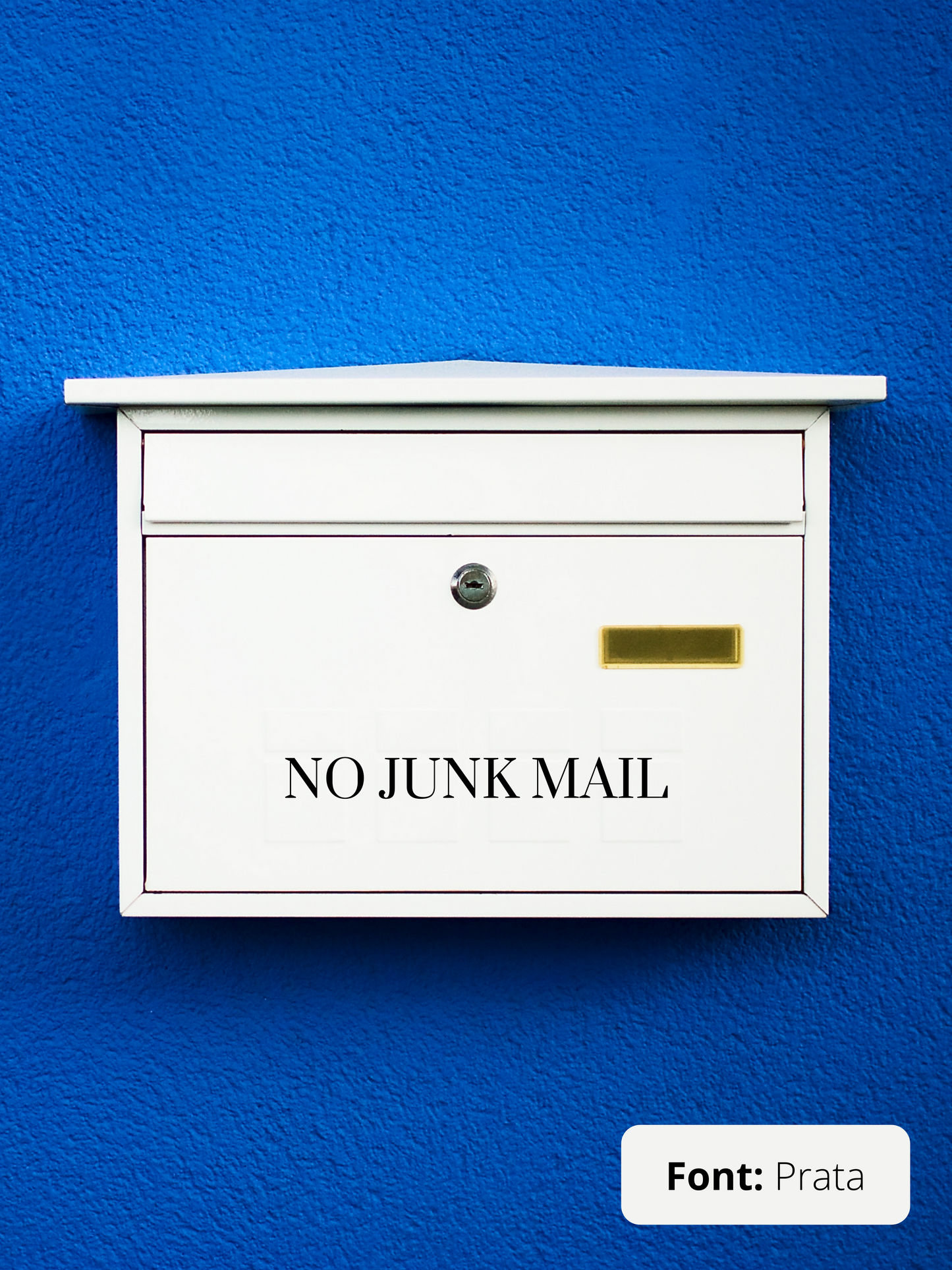 No Junk Mail - Vinyl Sticker